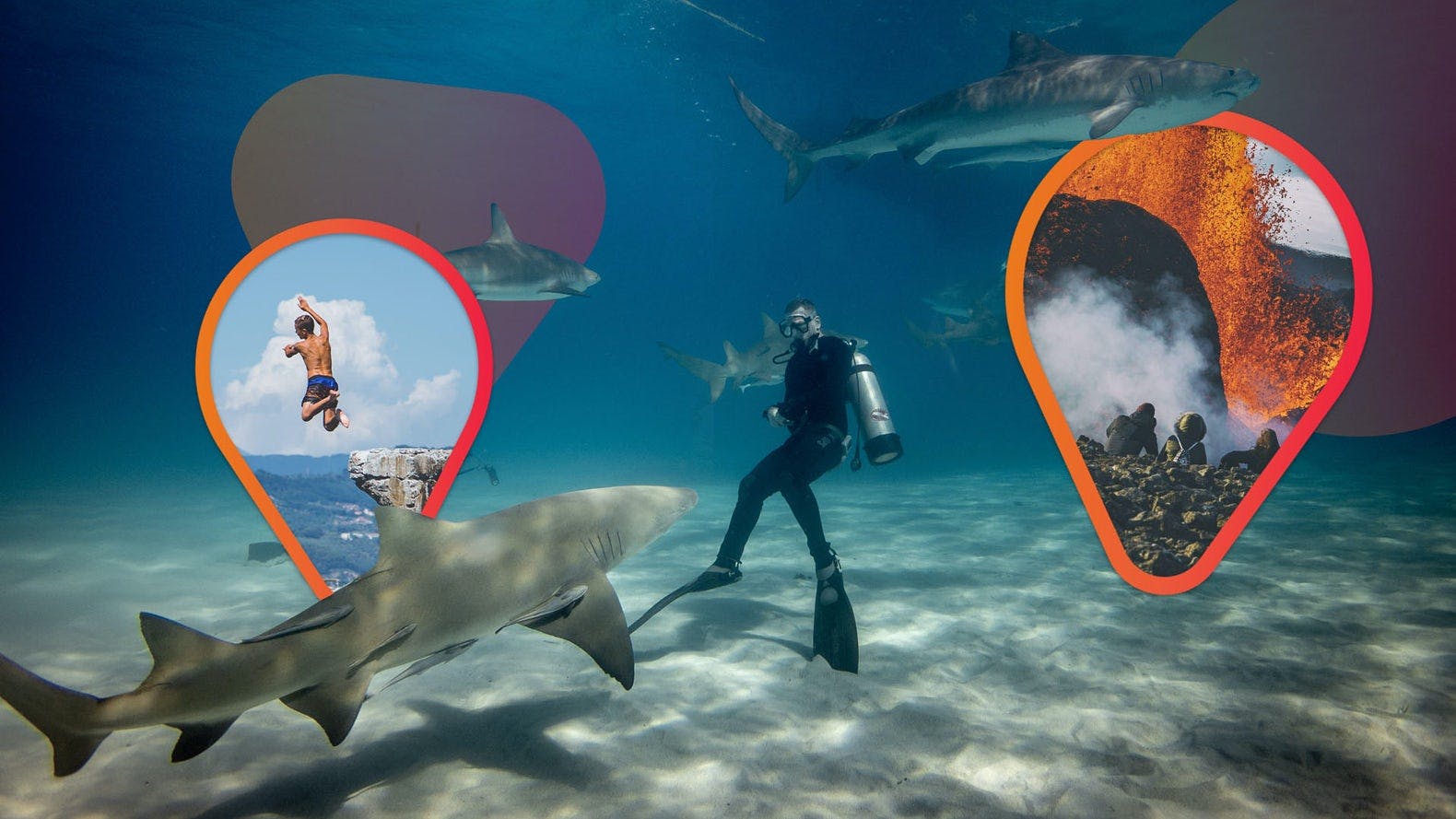 zwei kleine Bilder unter Wasser neben einem Hai und einem Taucher