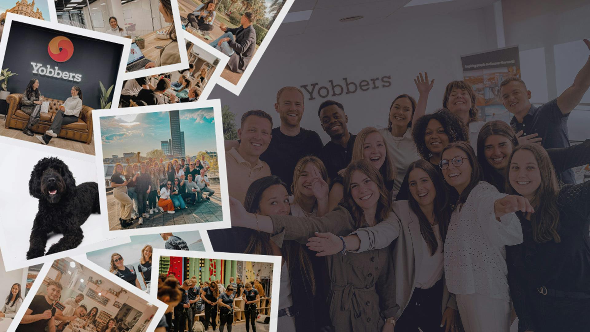 Het team van Yobbers in Leeuwarden & Valencia weergeven met meerdere afbeeldingen