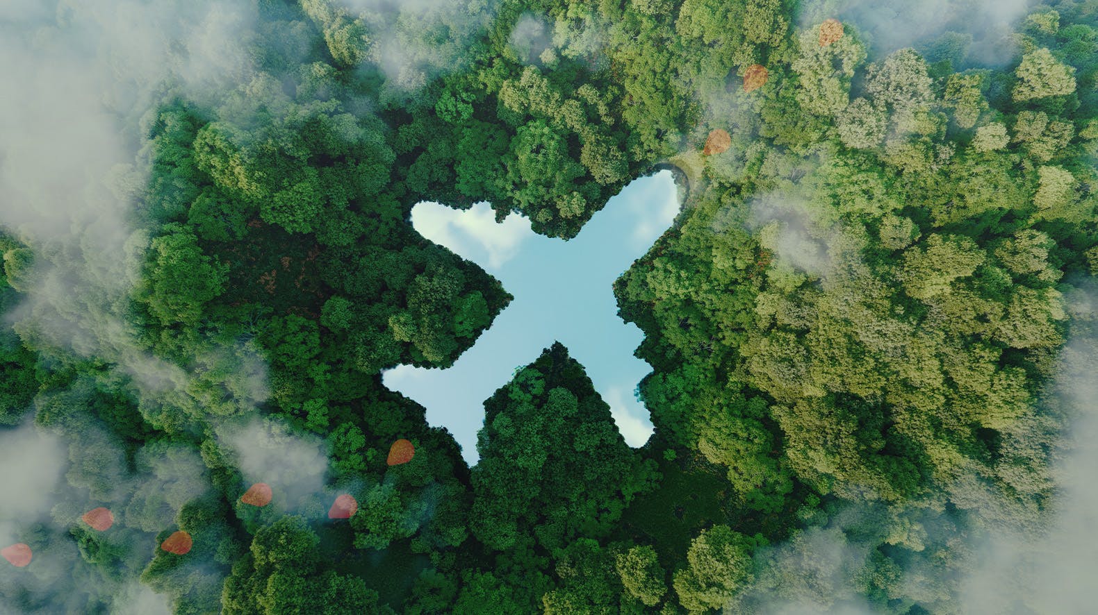 Sustainable travel trees with a plane int he middle