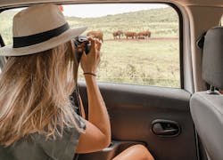 Op safari tijdens het studeren in Zuid-Afrika