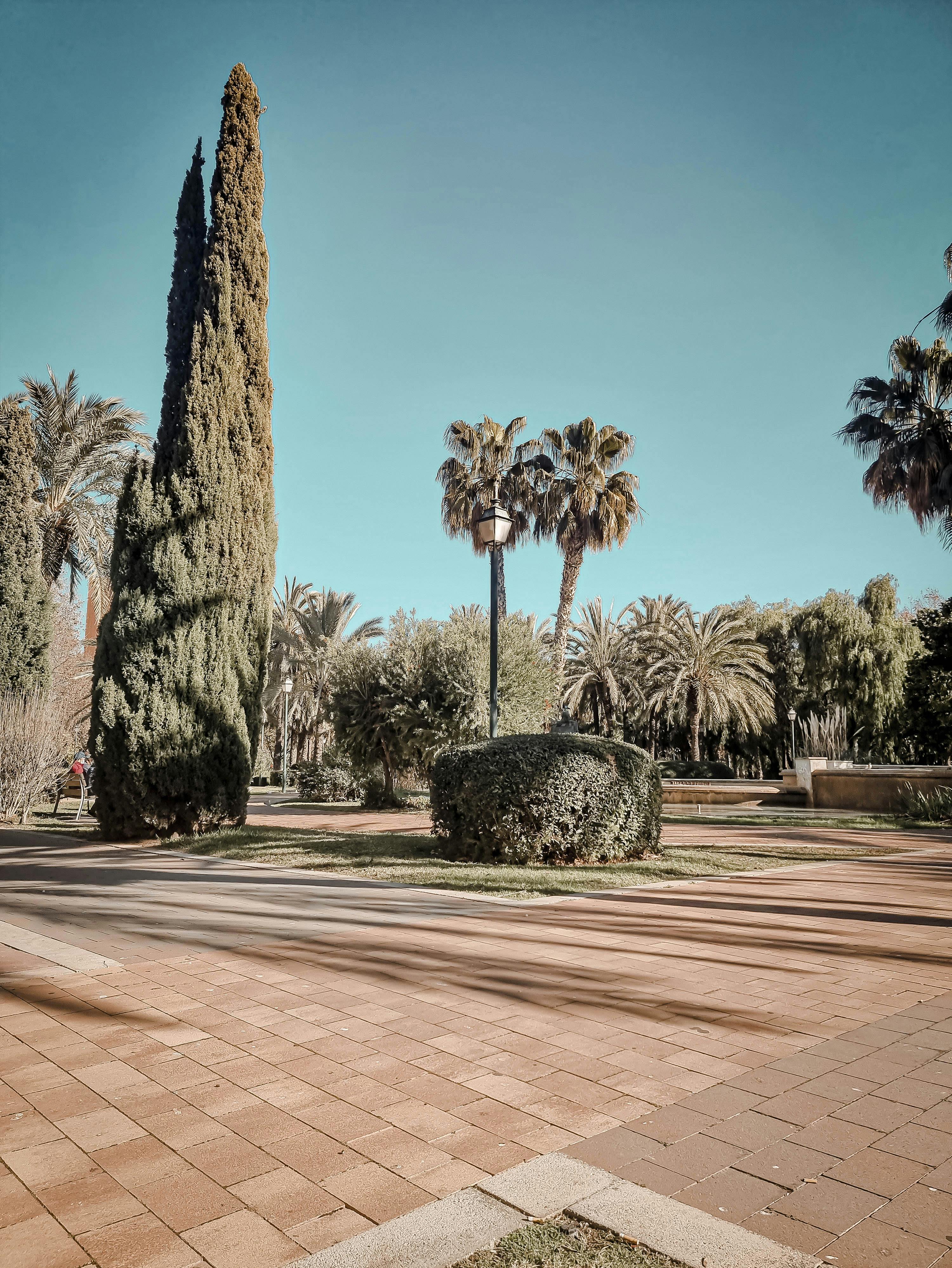 Jardín del Turia