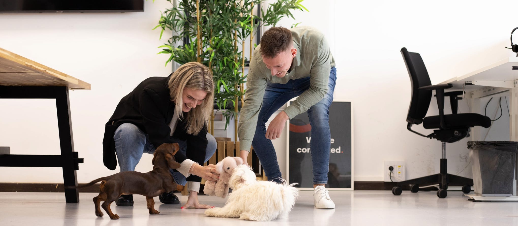 Mann und Frauen streicheln einen Hund im Buero
