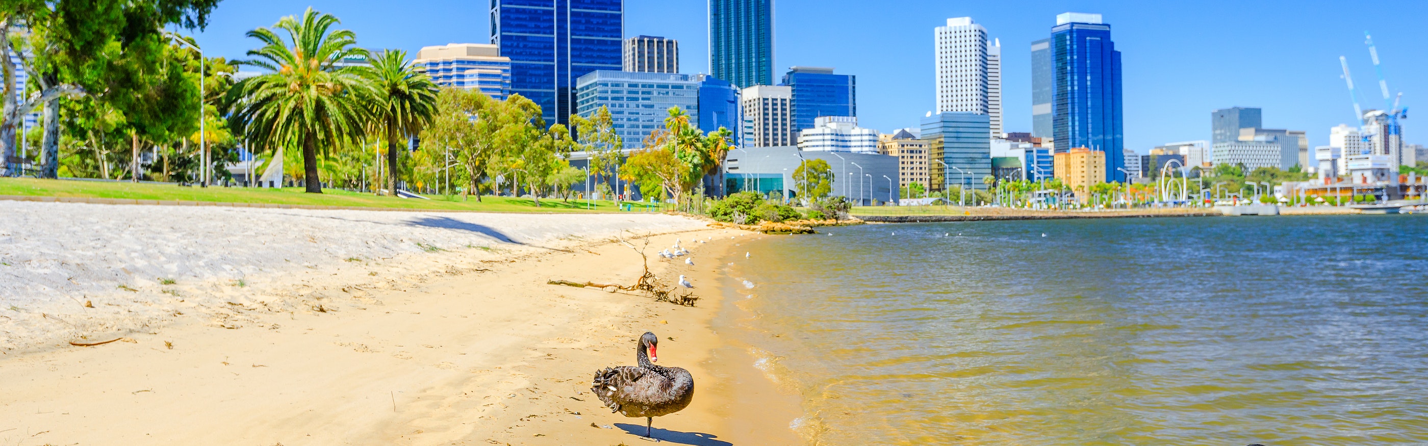 Perth