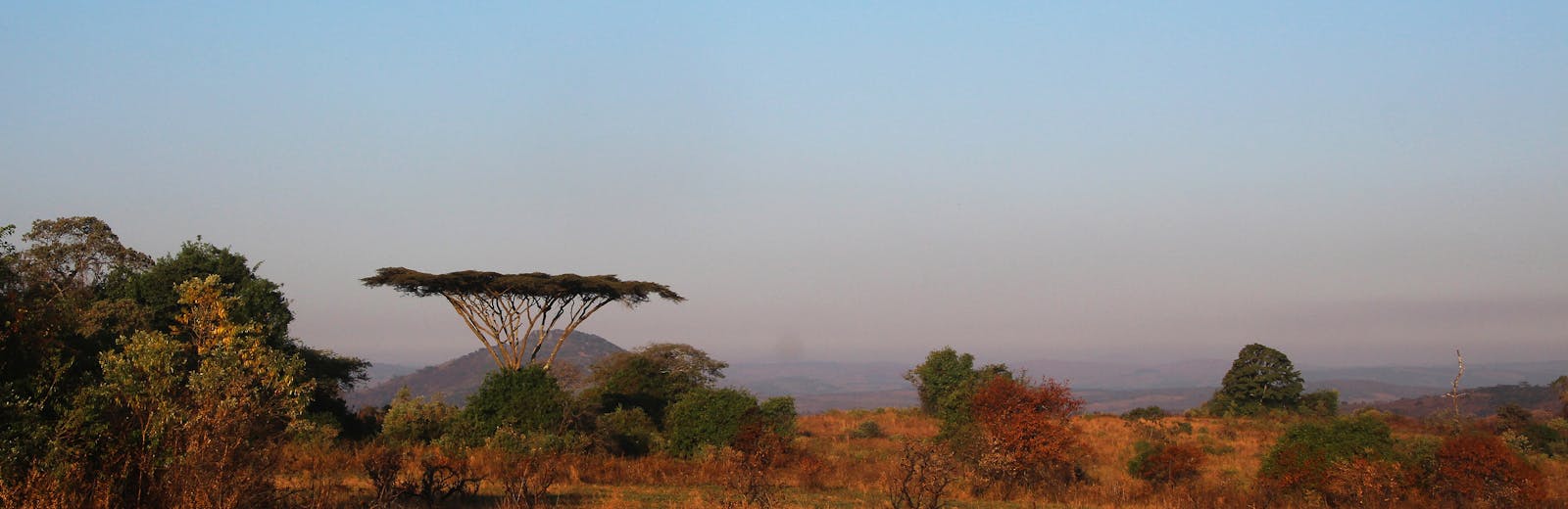 Help mee met landbouw en recycling in Kenia of Malawi