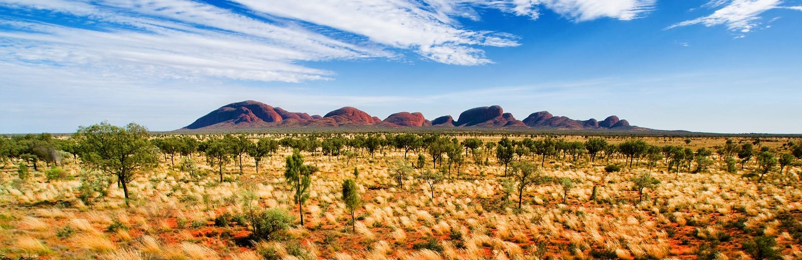 Work & Travel im atemberaubenden Australien! 🦘