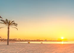 Become a CX Specialist for Danish customers in Barcelona