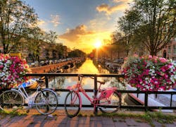 Arbeite als Customer Success Manager (m/w/d) in Amsterdam!