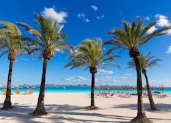 Vermaak kinderen op het prachtige eiland Mallorca, Lanzarote & Rhodos!