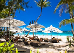 Werken op Bonaire als zelfstandig kok 🧑🍳