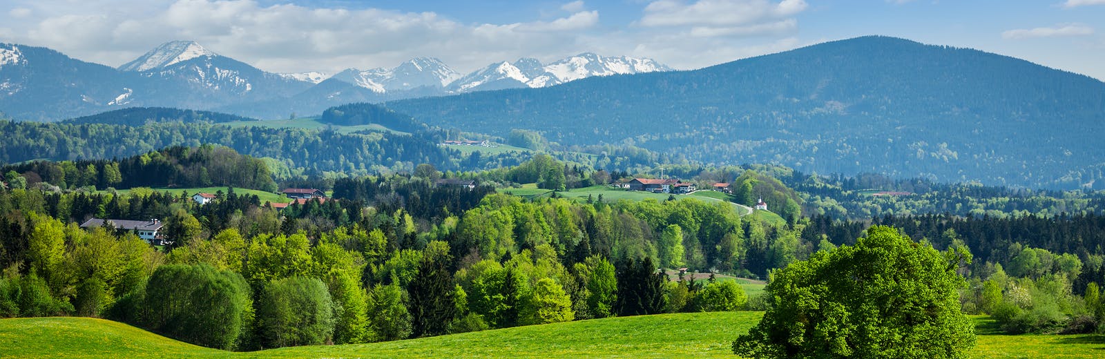 landschap met bergen en bomen