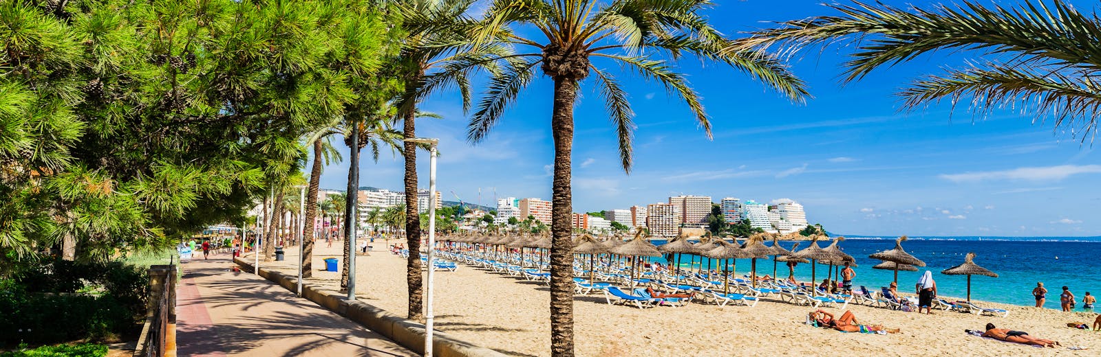 Beach with palm trees